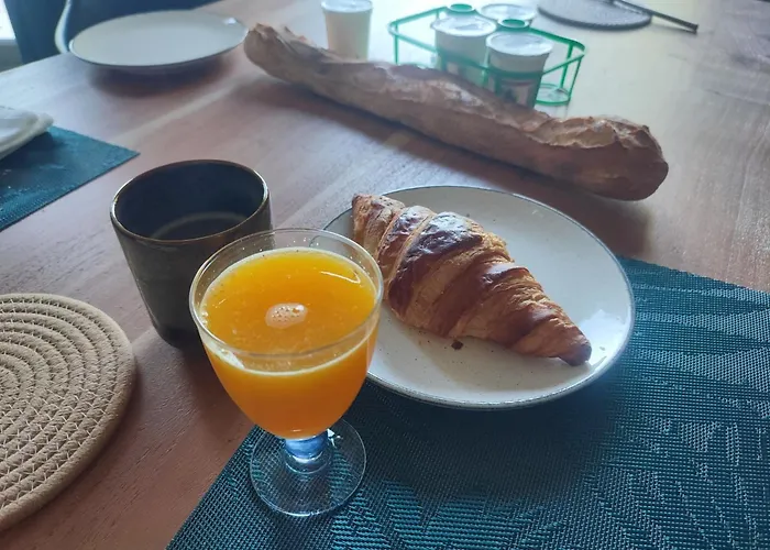 Manoir Des 2 Sources 住宿加早餐酒店 莫内斯捷